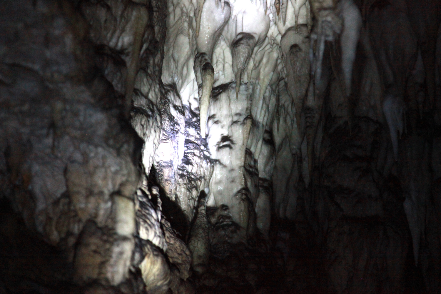 Ledena pećina u rezervatu prirode Uvac